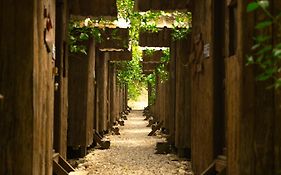 Olympos Yakamoz Pansiyon